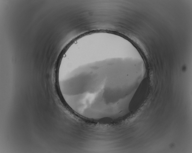 X0000094220983200711241718