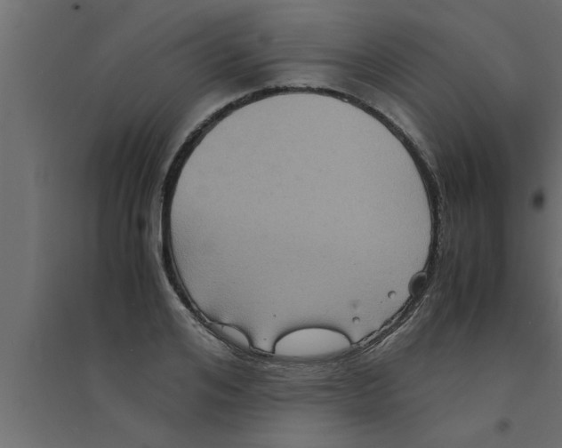 X0000094220984200711241718