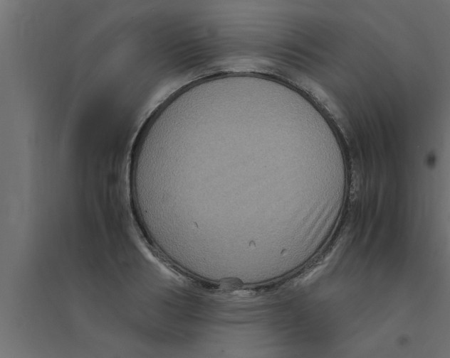 X0000094220986200711241717