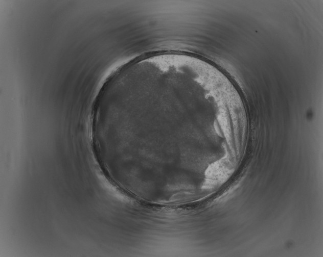 X0000094220987200711241717