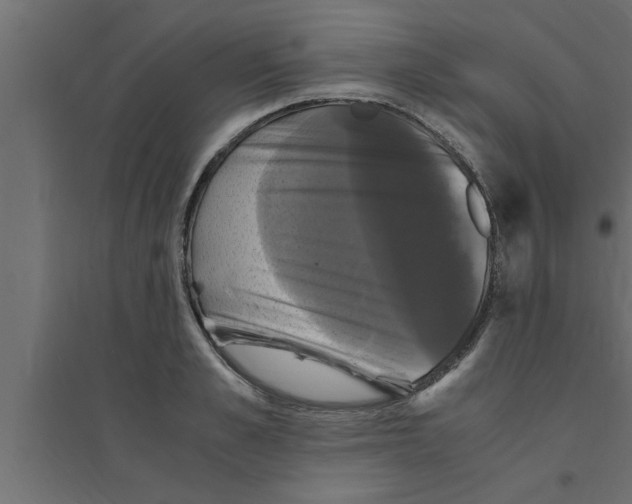 X0000094220989200711241717