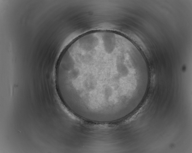 X0000094220990200711241717