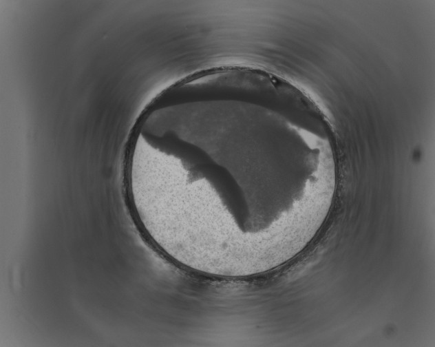 X0000094220991200711241717