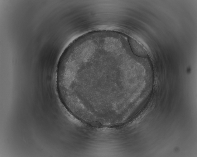 X0000094220992200711241717