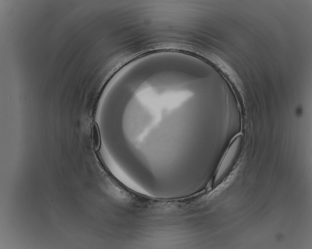 X0000094220993200711241717