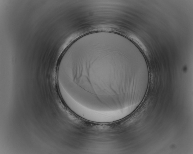 X0000094220994200711241717