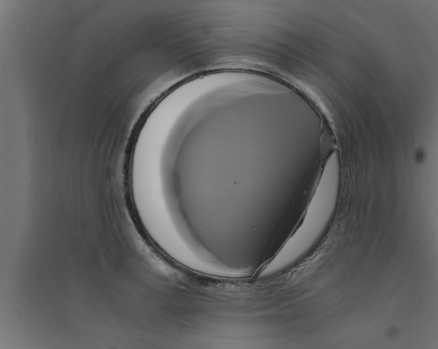 X0000094220995200711241717