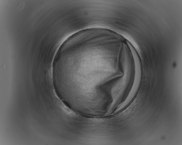 X0000094220996200711241717