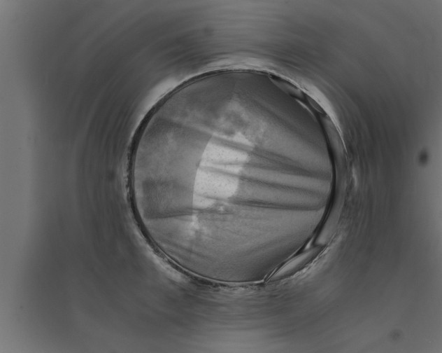 X0000094220997200711241717