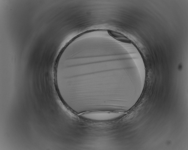 X0000094220998200711241717