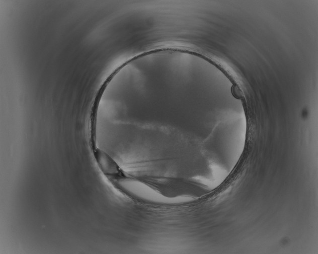 X0000094220999200711241717