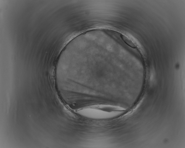 X0000094221001200711241717