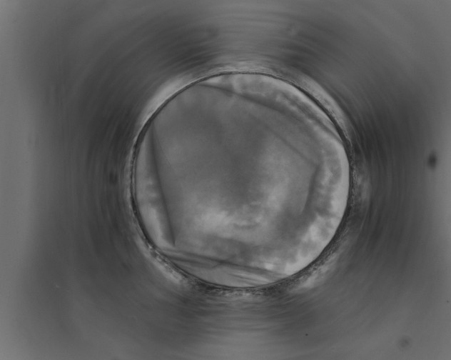 X0000094221002200711241717