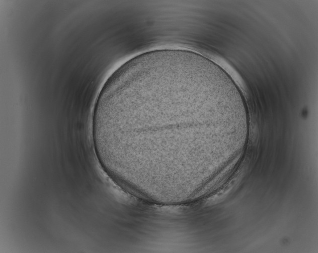 X0000094221004200711241717