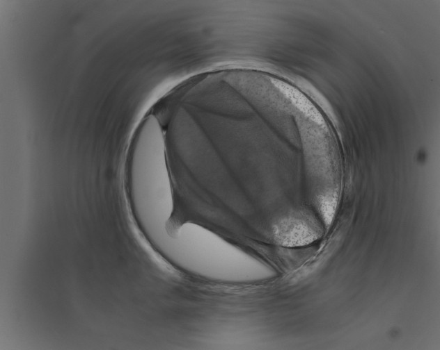 X0000094221005200711241717