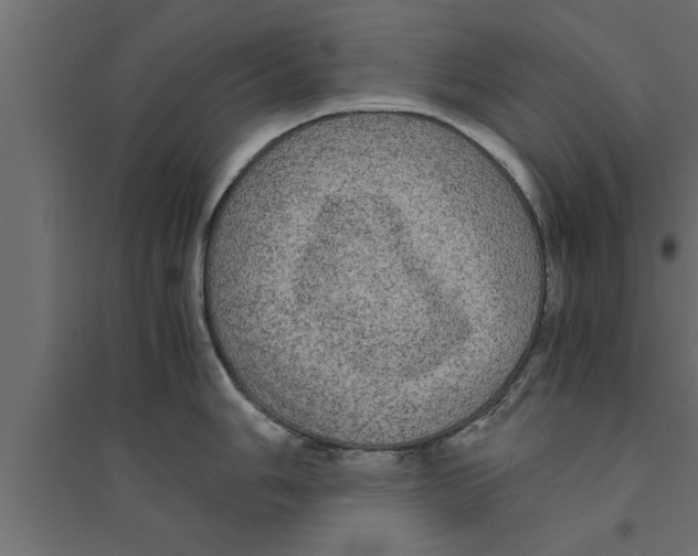 X0000094221006200711241717