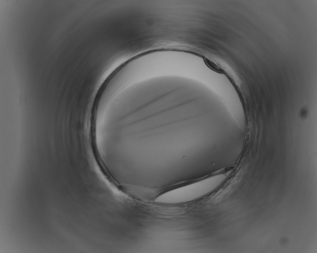 X0000094221007200711241717