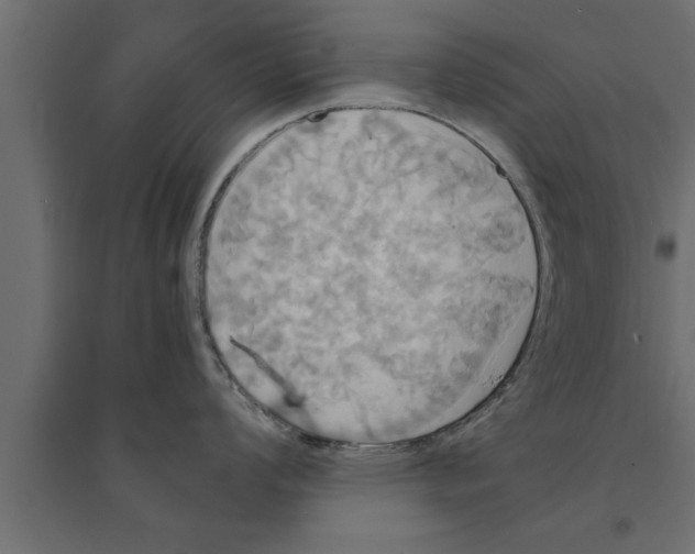 X0000094221008200711241717