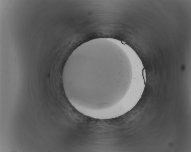 X0000094221009200711241717