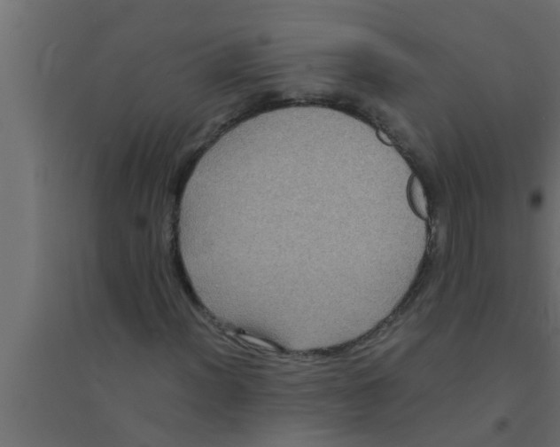 X0000094221012200711241717