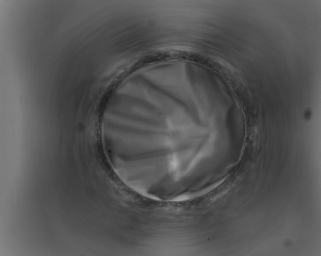 X0000094221014200711241717