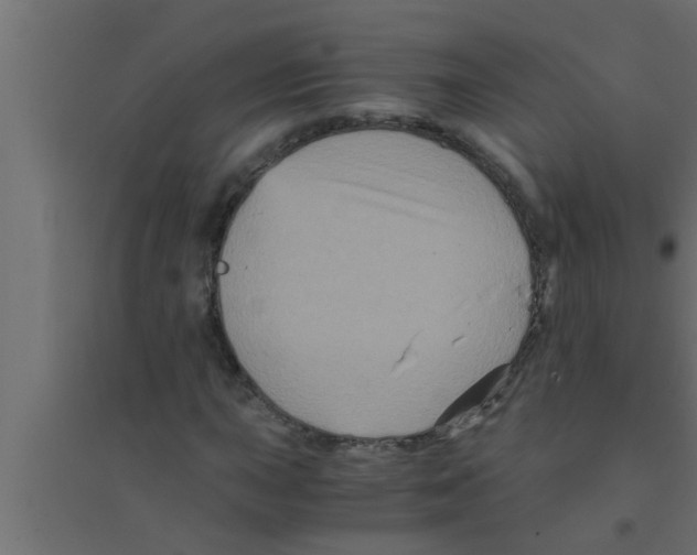 X0000094221015200711241717