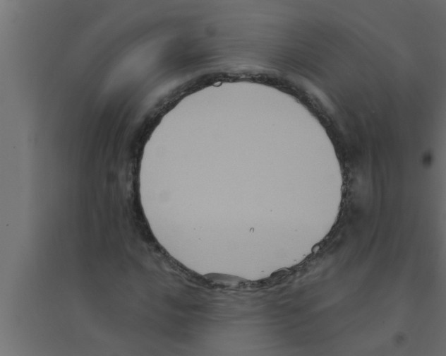 X0000094221016200711241717