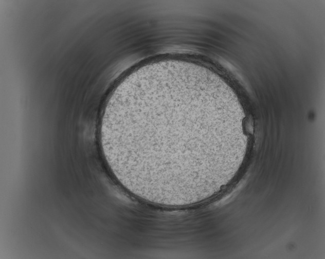 X0000094221017200711241717