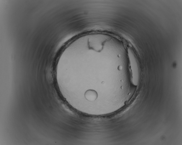 X0000094221018200711241717