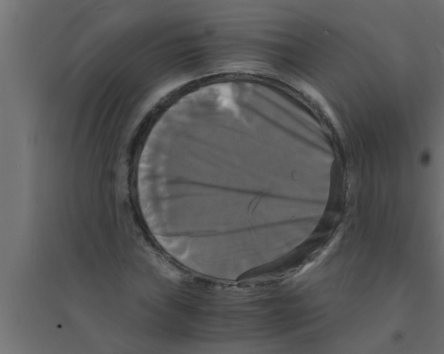 X0000094221019200711241717