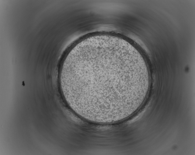 X0000094221021200711241717