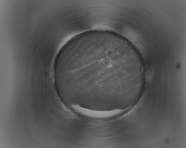 X0000094221022200711241717