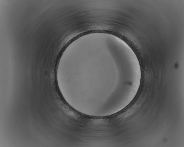 X0000094221025200711241717