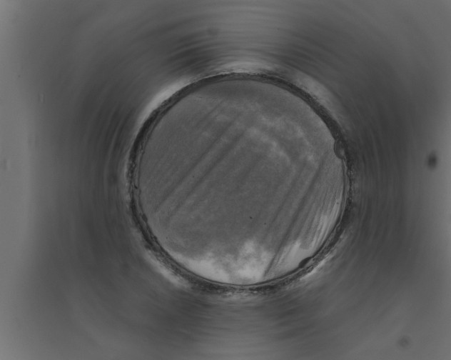 X0000094221026200711241717