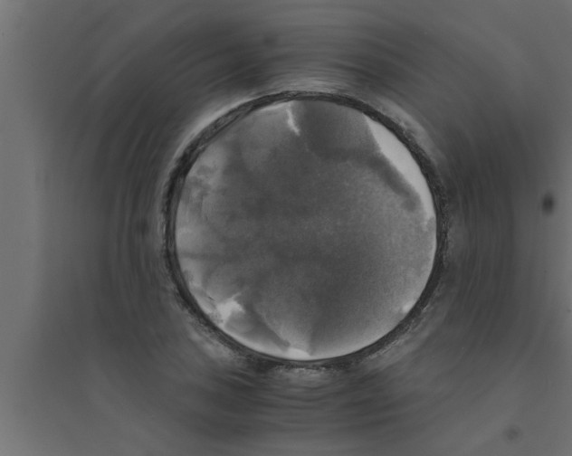 X0000094221027200711241717