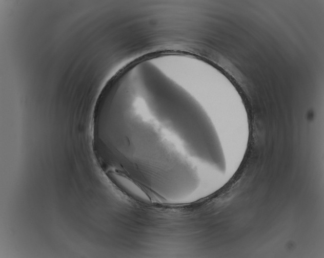 X0000094221028200711241717