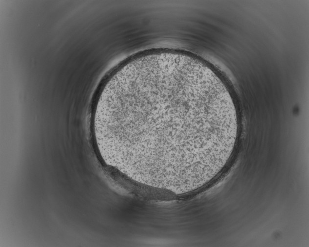 X0000094221029200711241717