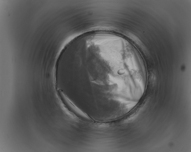 X0000094221030200711241717