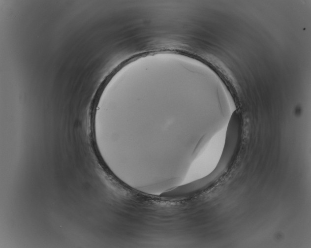 X0000094221031200711241717