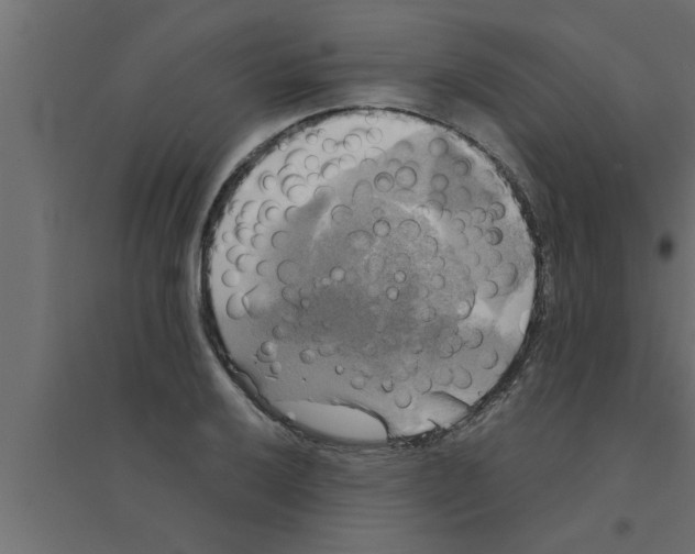 X0000094221032200711241717