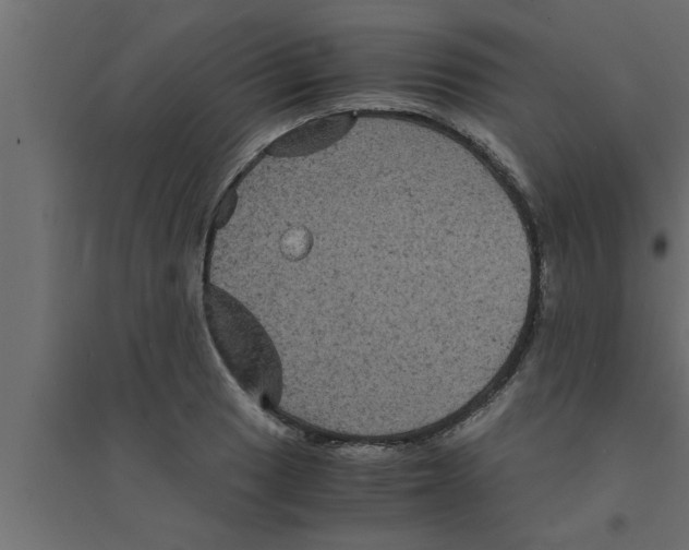 X0000094221033200711241717