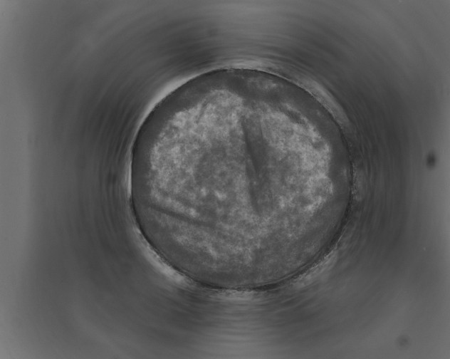 X0000094221036200711241717