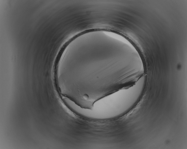 X0000094221037200711241717