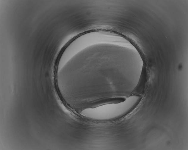 X0000094221038200711241717