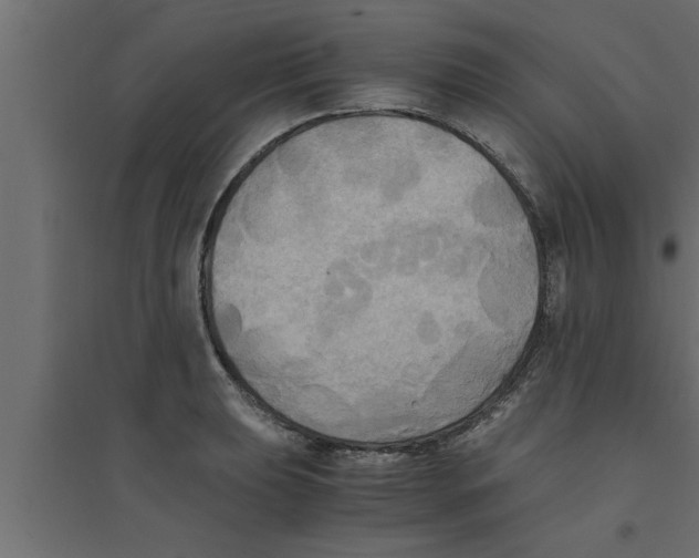 X0000094221039200711241717