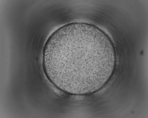 X0000094221040200711241717