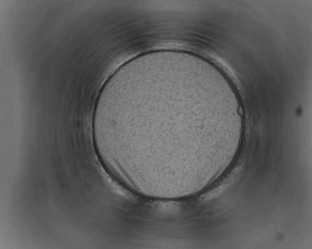 X0000094221041200711241717