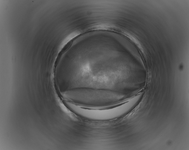 X0000094221042200711241717