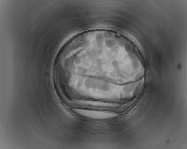 X0000094221043200711241717