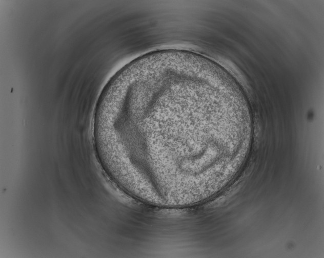 X0000094221044200711241717